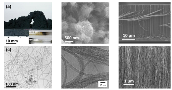 A CHJT collage of single-walled carbon nanotubes (SWCNTs), combining various electron microscope images with 3D models of their atomic structure.