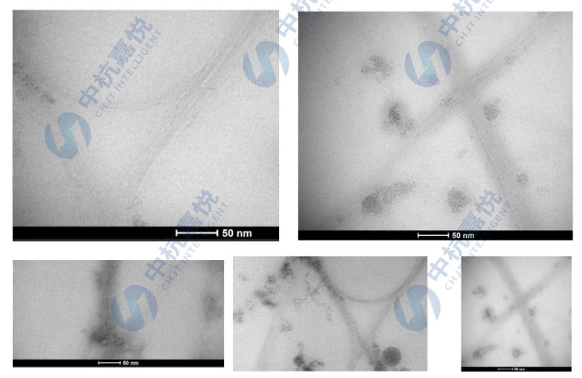 A CHJT collage of five Transmission Electron Microscope (TEM) images showcasing their single-walled carbon nanotubes, revealing the fine, bundled structure of the material at the nanoscale